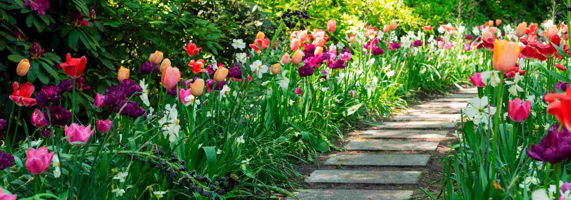 Como ter um jardim atrativo e florido no início da primavera?