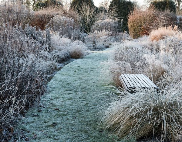 Como não fazer a manutenção do seu jardim no inverno em 7 lições?