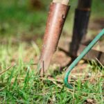 Num arrendamento, quem deve fazer a manutenção do jardim?