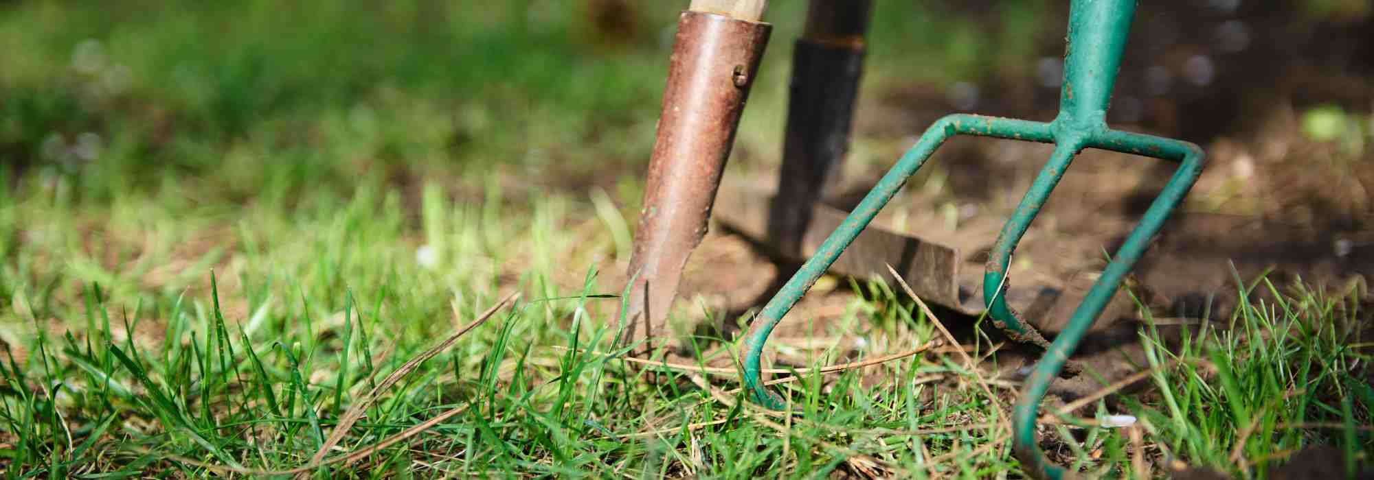 Num arrendamento, quem deve fazer a manutenção do jardim?