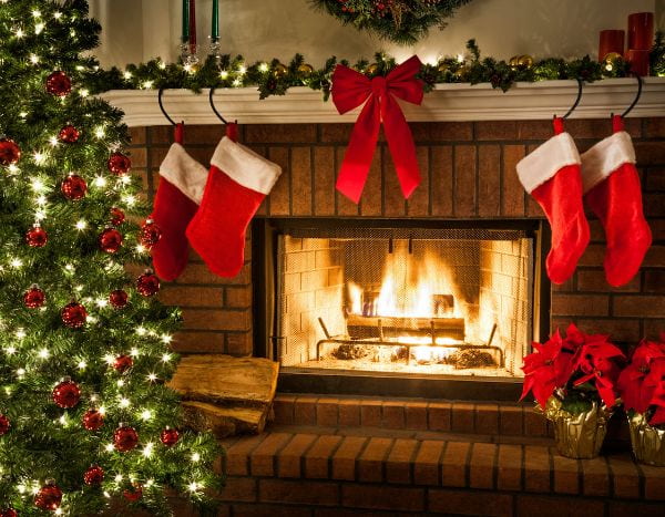Abeto, azevinho e visco: a história dos símbolos vegetais do Natal