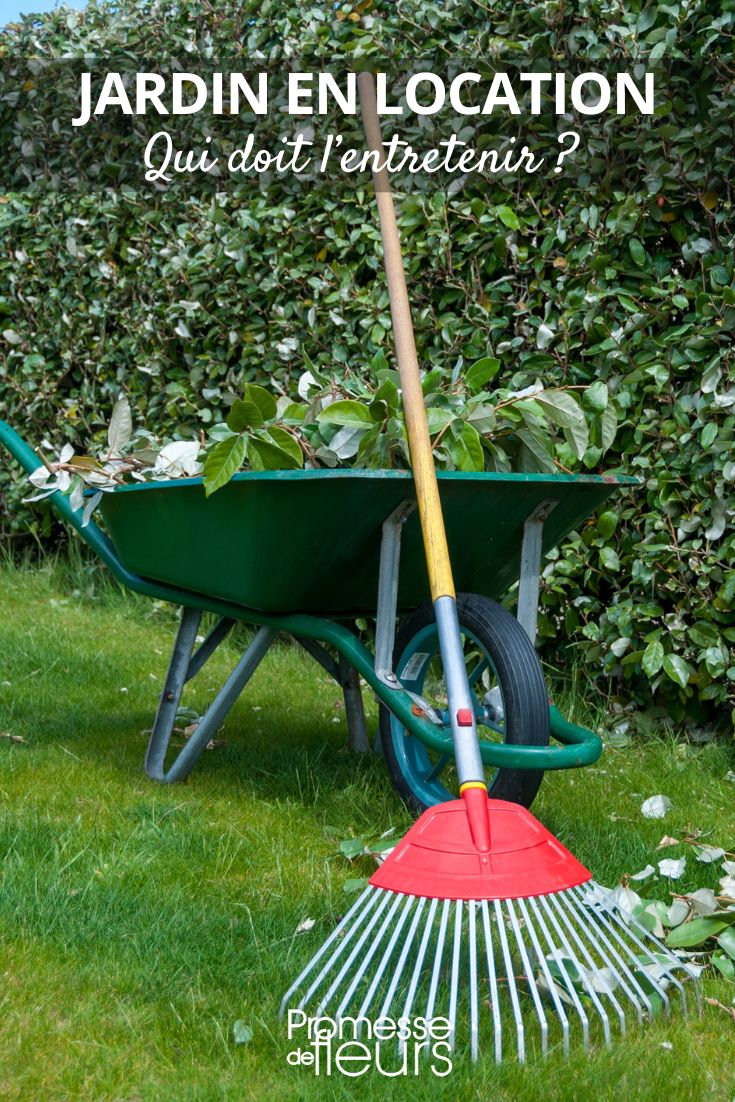 manutenção do jardim: inquilino ou proprietário