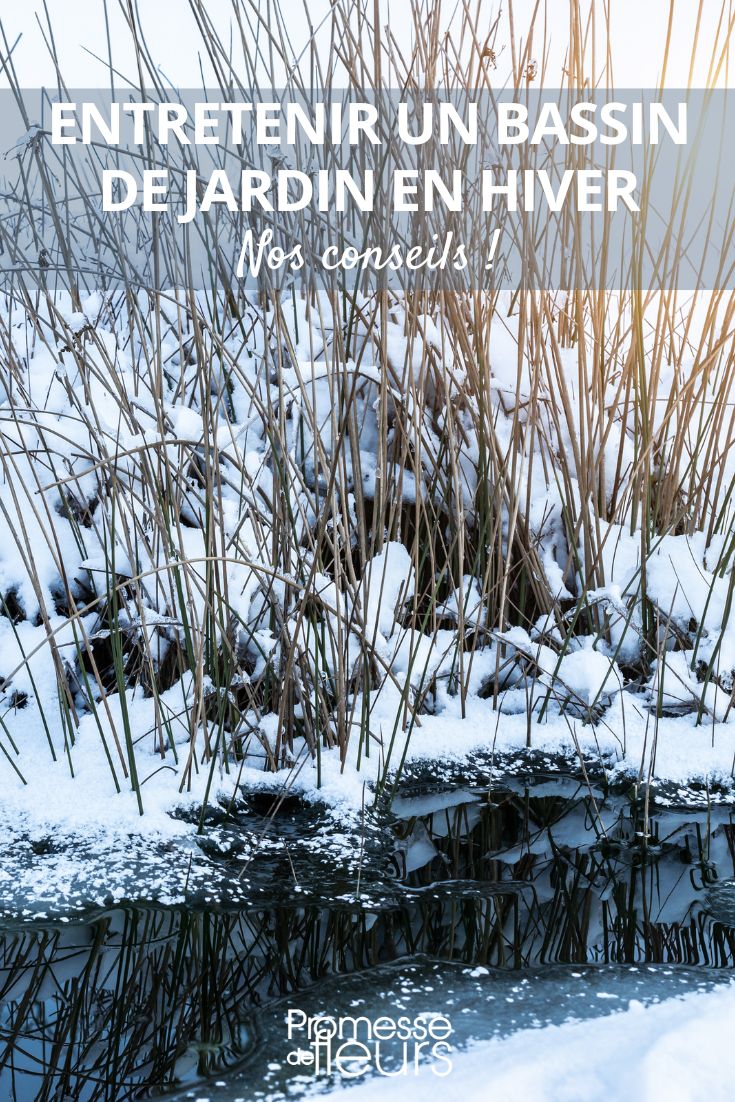 Manutenção do lago no inverno