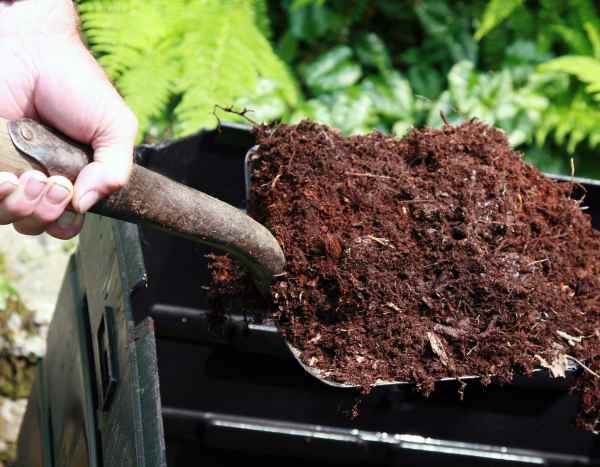 Composto: onde e como utilizá-lo corretamente no jardim?