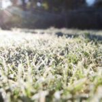 Como cuidar da sua relva no inverno?