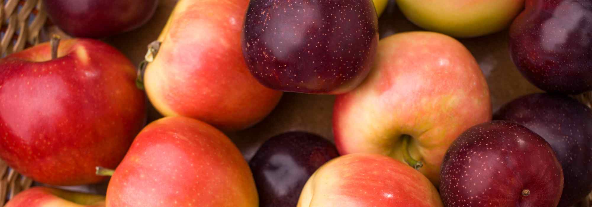 Frutos de pomóideas ou frutos de caroço: quais são as diferenças?