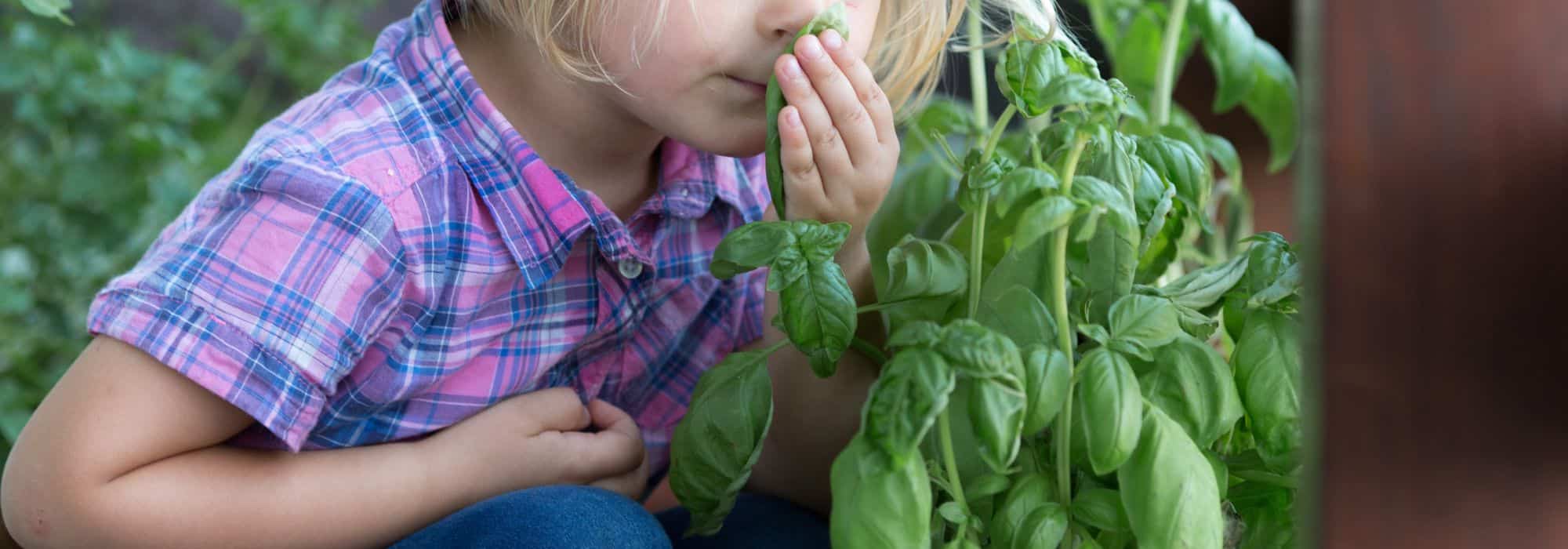 7 ideias criativas para iniciar as crianças na jardinagem, mesmo sem ter um jardim