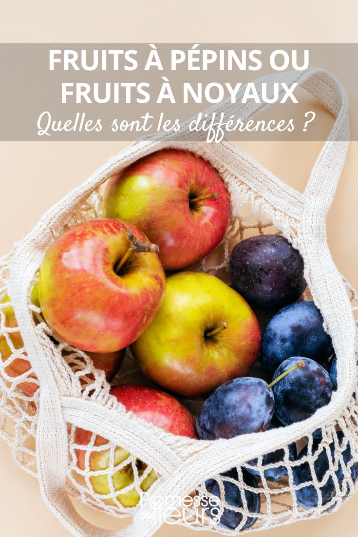 maçãs e ameixas