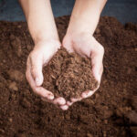 Jardinar sem turfa: porquê e como preservar este recurso?