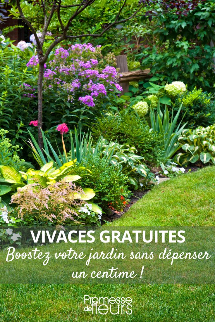 jardim ornamental e multiplicação de plantas perenes