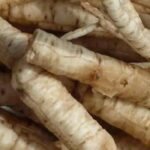 A cherivia, uma hortícola perene esquecida e fácil de cultivar
