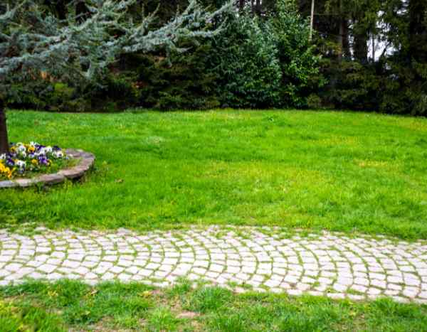 Como construir um caminho de jardim em calçada?