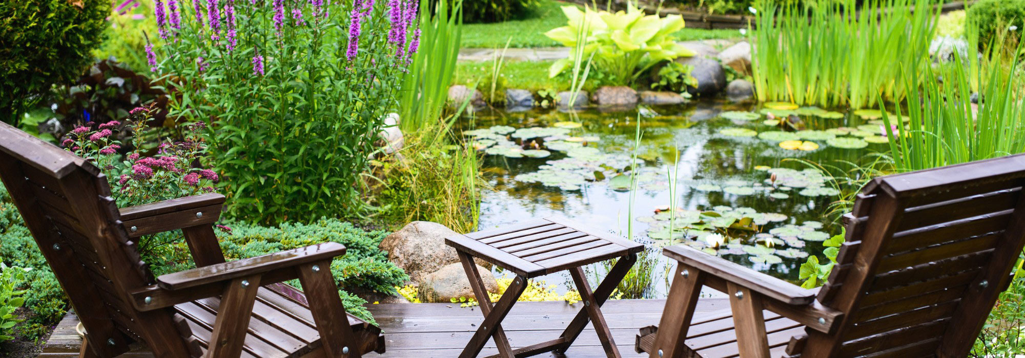 Como criar um recanto fresco no jardim ou no terraço