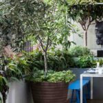 Como planear corretamente um terraço num clima ventoso?