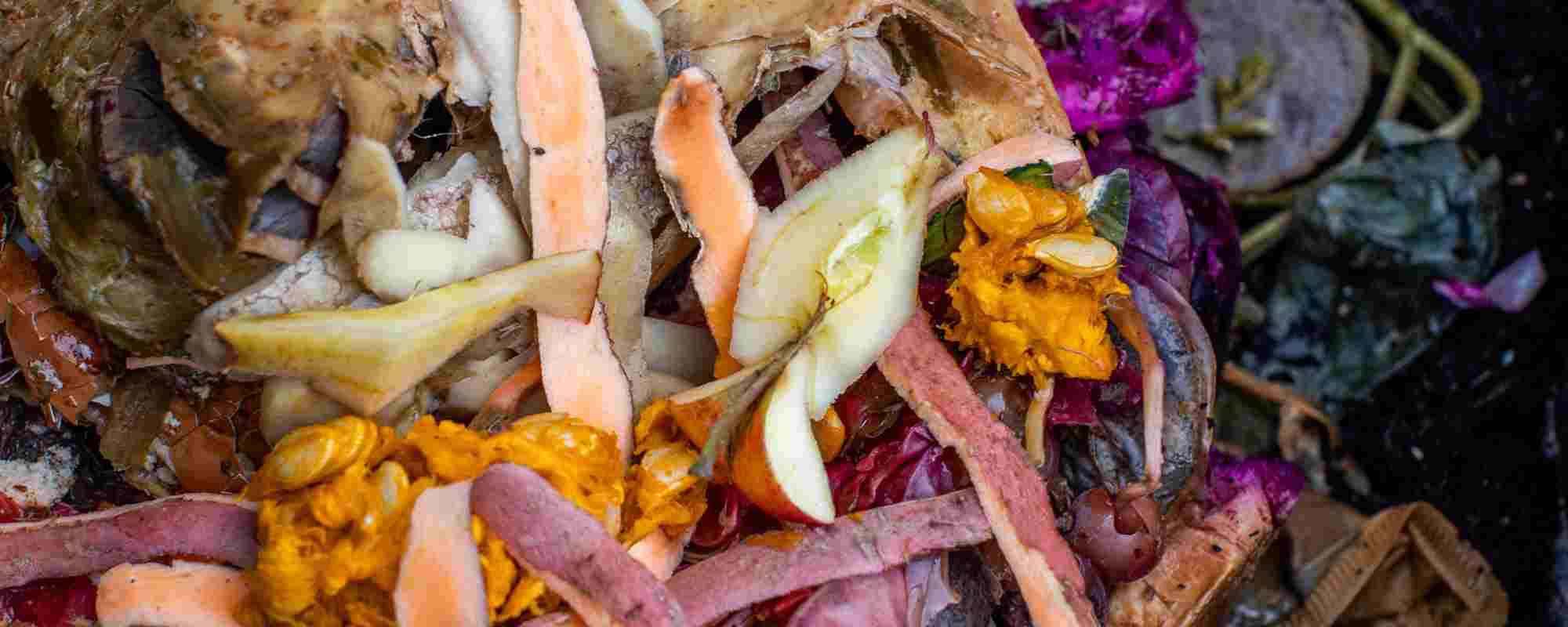 O Bokashi, o método de compostagem proveniente do Japão