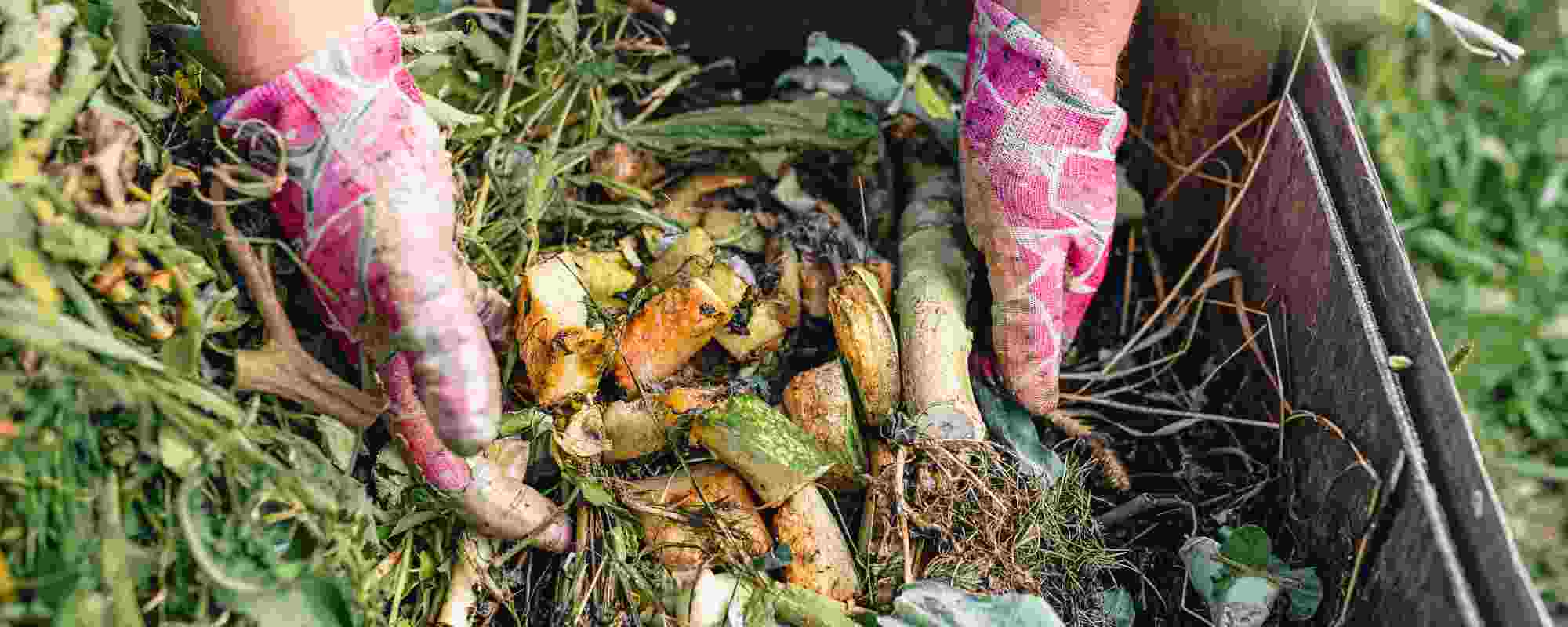 Que resíduos não devem ser colocados no composto?