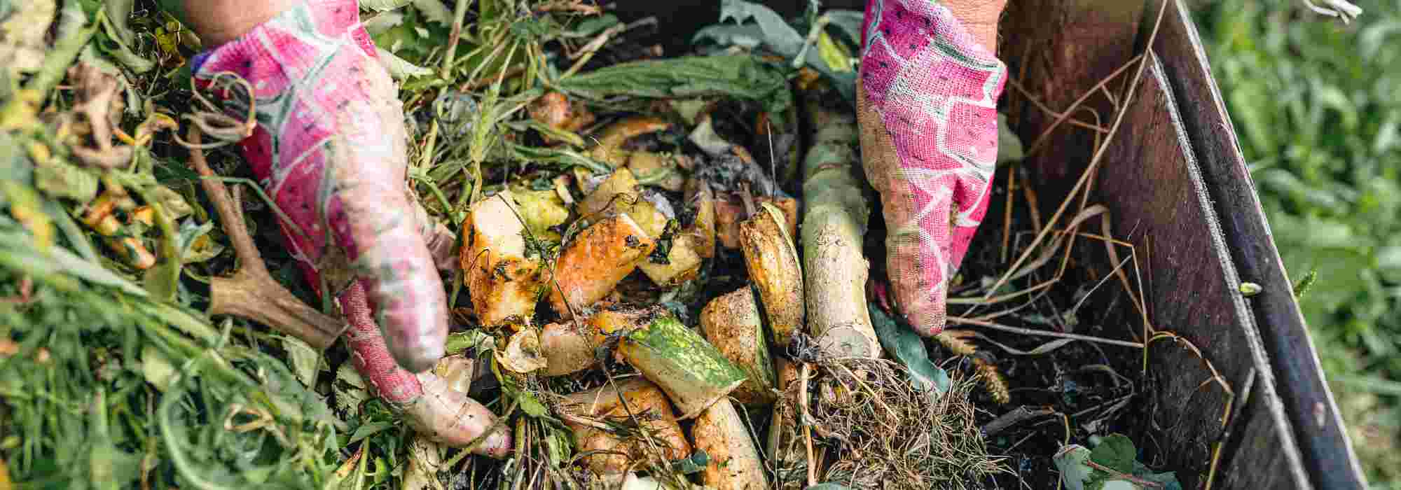 Resíduos orgânicos: o que pode ser colocado no composto?