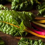Enchaire-se de ideias de receitas com acelgas!