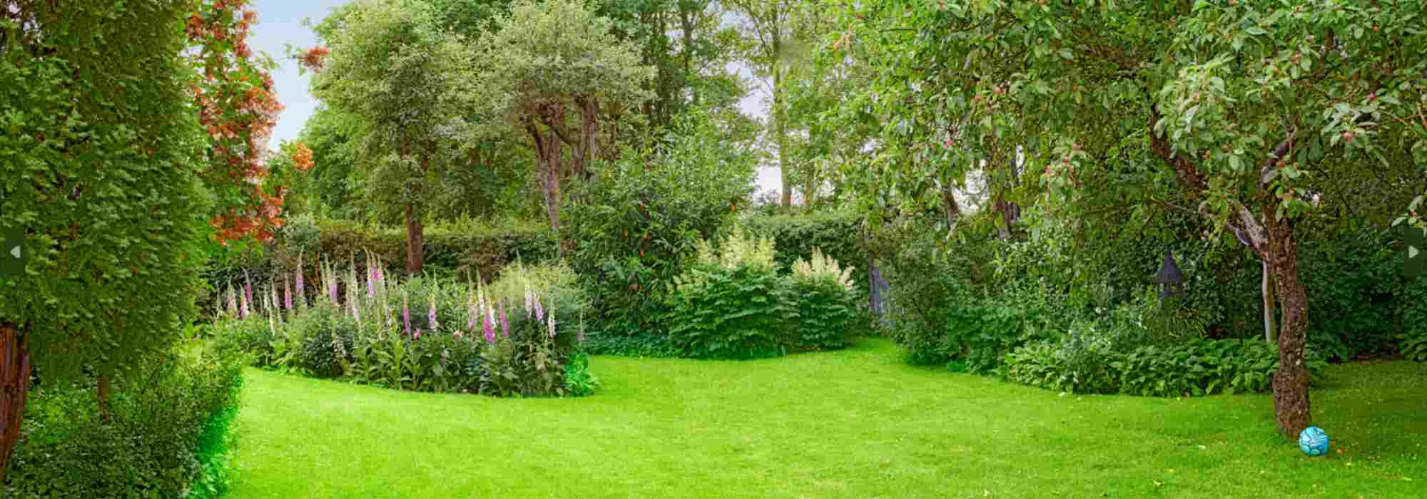 Como posicionar corretamente as árvores num jardim?
