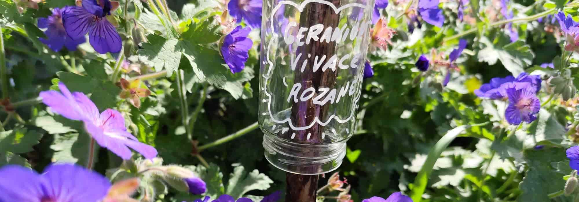 Jardinagem ecológica: como fabricar as próprias etiquetas para o jardim e a horta