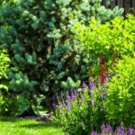 5 conselhos para preparar um jardim num clima ventoso