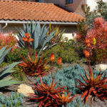 Como criar um jardim de estilo californiano?