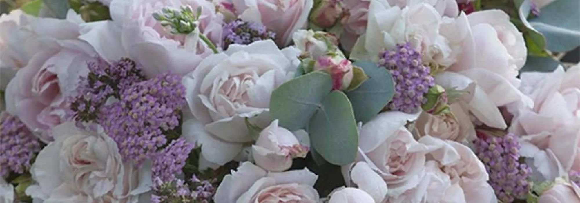 As melhores roseiras para ramos de flores encantadores e perfumados