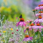 Um jardim deslumbrante no verão: os nossos conselhos para o planeamento do jardim