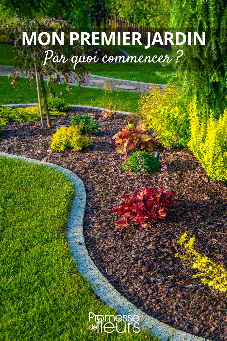 por onde começar na jardinagem, ideias e conselhos para o primeiro jardim