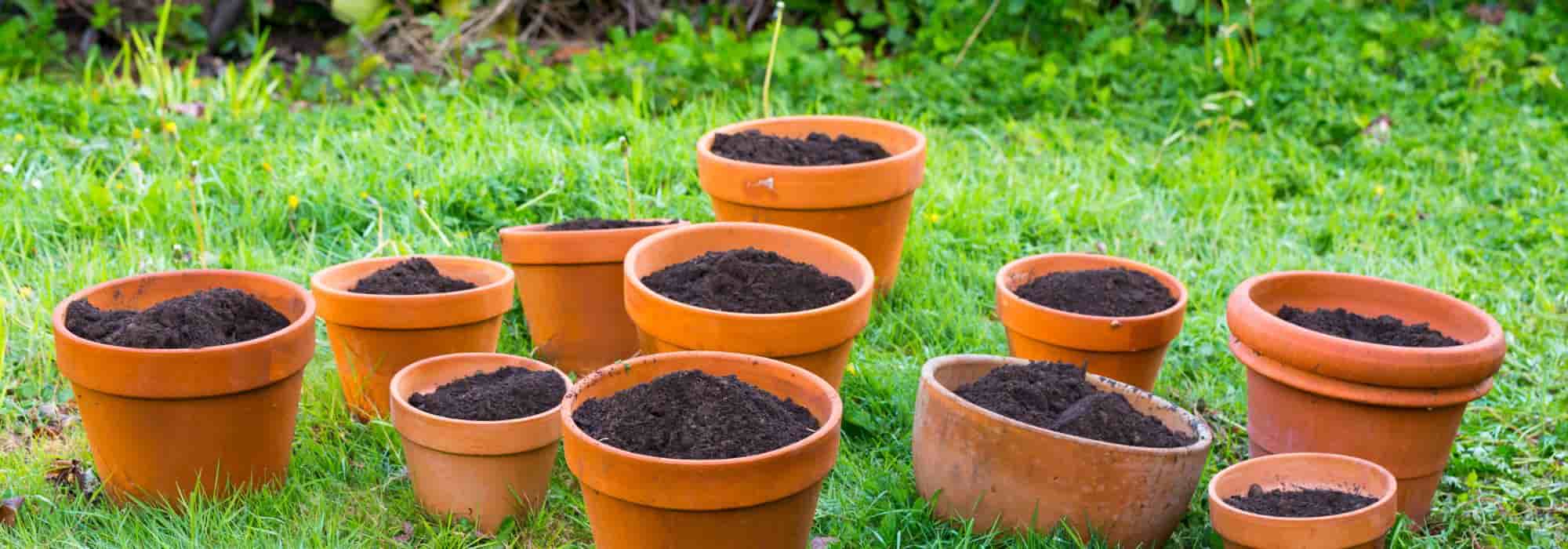 O que fazer com a terra e o substrato dos vasos antigos?