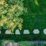 Estou a planear o meu primeiro jardim: por onde começar?