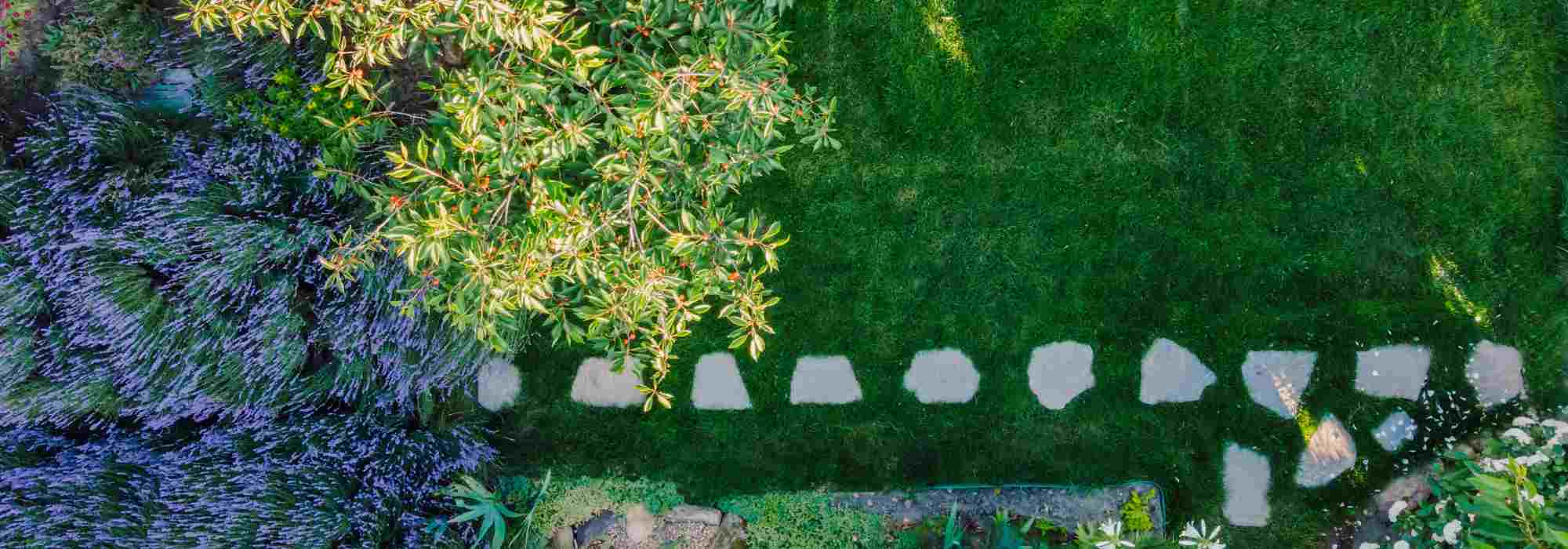 Estou a planear o meu primeiro jardim: por onde começar?