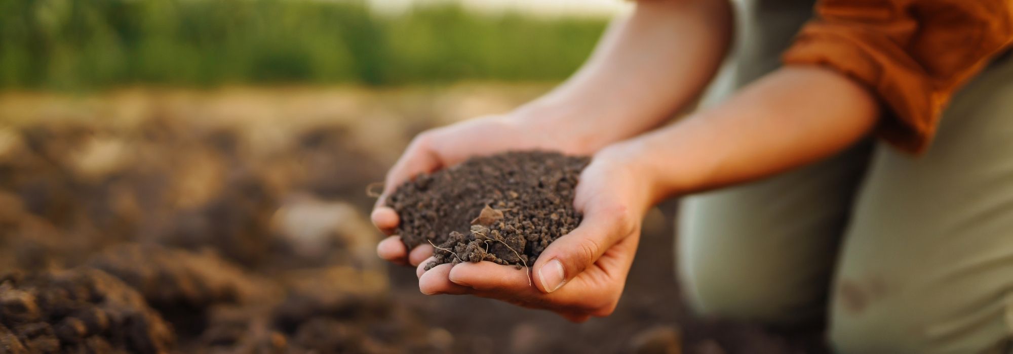 As nossas soluções de fertilização 100% naturais para o jardim