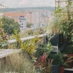 Organizar uma varanda virada a norte