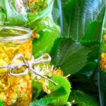 A tília fresca: uma aliada natural com múltiplas utilizações