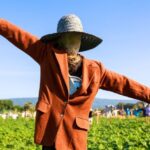 Como fazer um espantalho para o jardim?