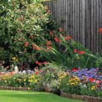 Como organizar um jardim virado a oeste?
