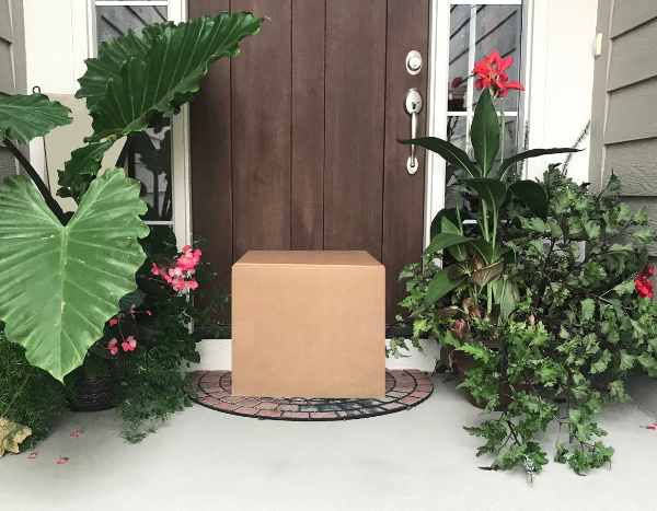 Acabei de receber a minha encomenda de plantas: o que devo fazer?