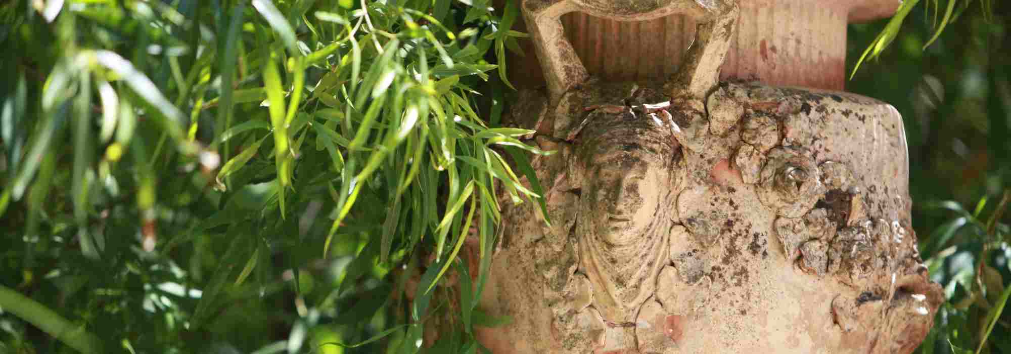 Como utilizar e integrar devidamente os vasos de terracota no jardim?