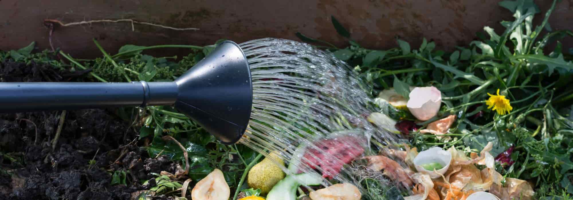 Porquê e como regar o composto?