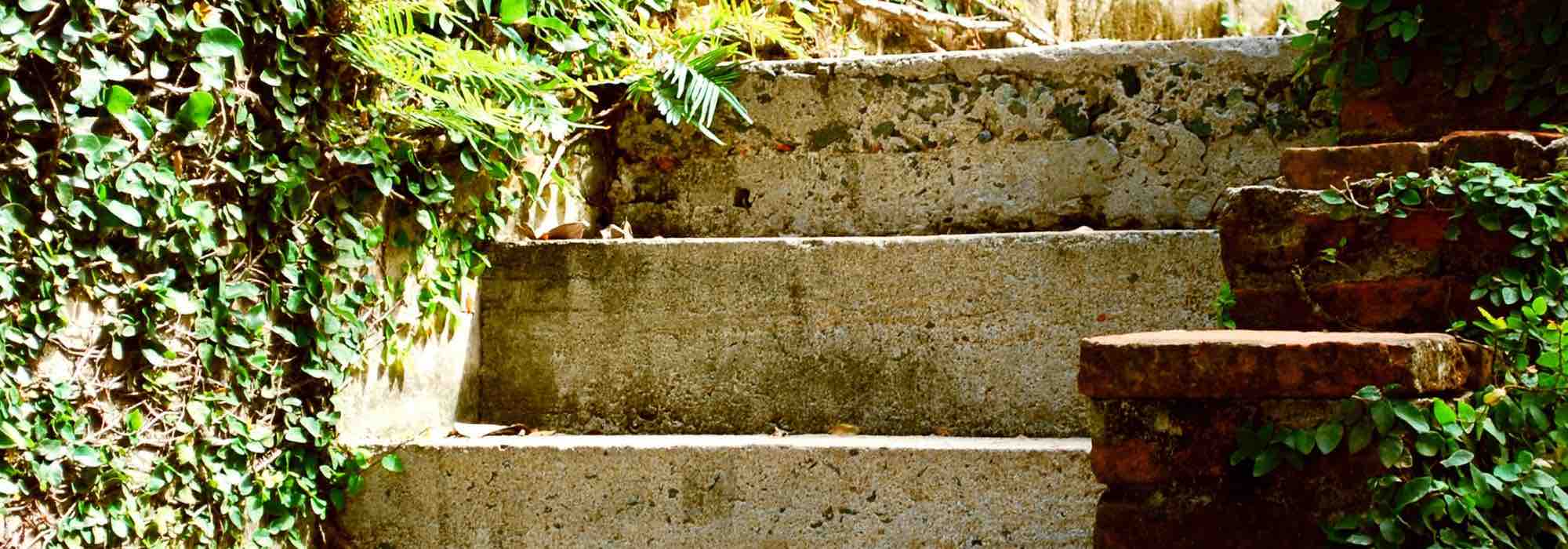 Construir uma escadaria de jardim: os nossos conselhos para valorizar o espaço exterior