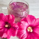 Como preparar uma infusão de malva-real?