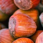 A avelã: cultivo, colheita e receitas deliciosas