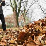 Manutenção do jardim: as ferramentas indispensáveis para a recolha e a limpeza