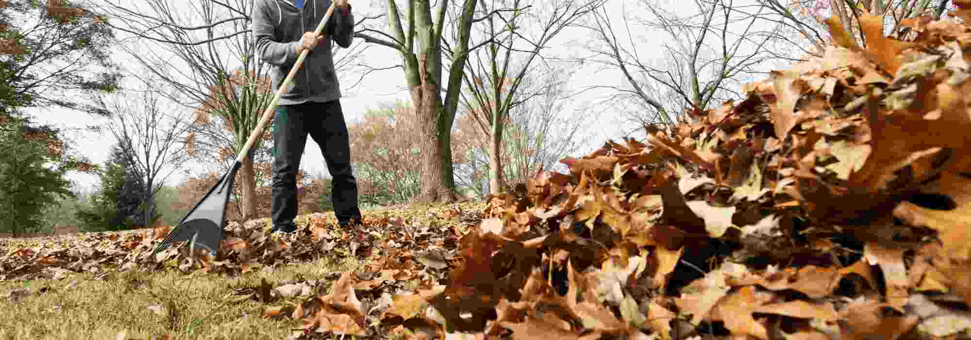 Manutenção do jardim: as ferramentas indispensáveis para a recolha e a limpeza