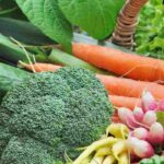 Horta na região Centro: que legumes cultivar?