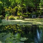 O interesse em visitar jardins