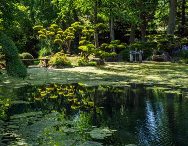 O interesse em visitar jardins