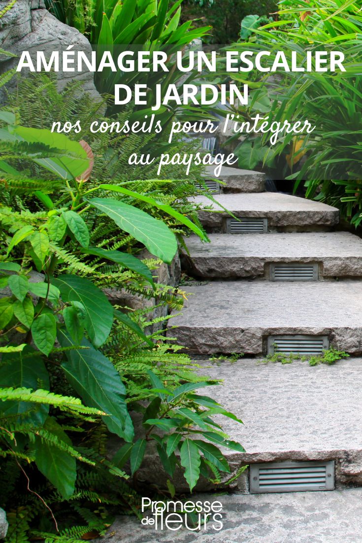 uma escadaria no jardim, escolha das plantas e soluções de arranjo