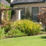 Cor suave e na moda: como criar um jardim «nude»?